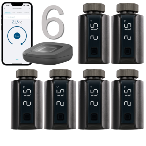 Homematic IP Evo Heizungssteuerung 6er Set, anthrazit
