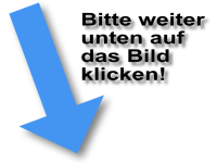 Teamviewer fr Ihren Online-Support