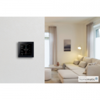 Homematic IP Wired Smart Home Glasdisplay - plus HmIPW-WGD-PL