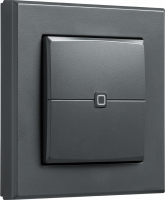 Homematic IP Wandtaster 2-fach, anthrazit - 159881A0