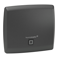 Homematic IP Access Point, anthrazit
