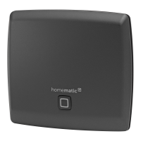 Homematic IP Access Point, anthrazit