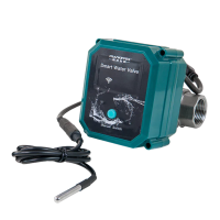 FrankEver smartes Wasserventil DN25 (1 Zoll)