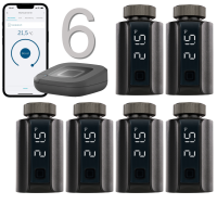 Homematic IP Evo Heizungssteuerung 6er Set, anthrazit