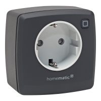 Homematic IP Dimmer-Steckdose – Phasenabschnitt, anthrazit HmIP-PDT-A, 161621A0
