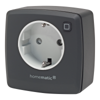 Homematic IP Schaltsteckdose, anthrazit, HmIP-PS-2-A, 161613A0