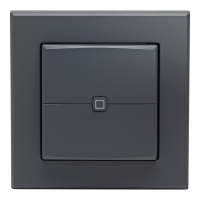 Homematic IP Smart Home Wandtaster 2-fach, anthrazit, HmIP-WRC2-A-2