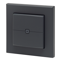 Homematic IP Smart Home Wandtaster 2-fach, anthrazit, HmIP-WRC2-A-2