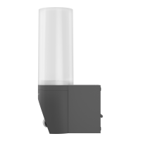 Homematic IP Au�enlichtkamera, anthrazit, HmIP-COL-A, 162948A0