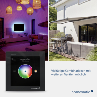 Homematic IP Glasdisplay, HmIP-WGD, 161918A0