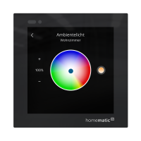 Homematic IP Glasdisplay - plus, HmIP-WGD-PL, 161937A0