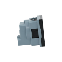 Shelly Socket For Wall Display Stand