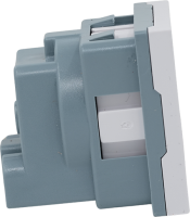 Shelly Socket For Wall Display Stand
