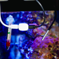 Shelly The Pill Temperatursensor DS18B20  - 3,5mm Jack  - 1m Kabel
