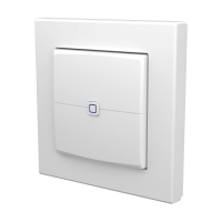 Homematic IP Universal Dimmeraufsatz - Taster ( HmIP-UDI-PB2, 162315A0 )