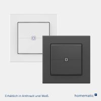 Homematic IP Universal Dimmeraufsatz - Taster ( HmIP-UDI-PB2, 162315A0 )