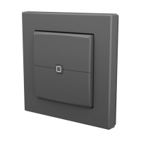 Homematic IP Universal Dimmeraufsatz - Taster, anthrazit ( HmIP-UDI-PB2-A, 162329A0 )